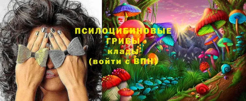 Галлюциногенные грибы Magic Shrooms Жуков